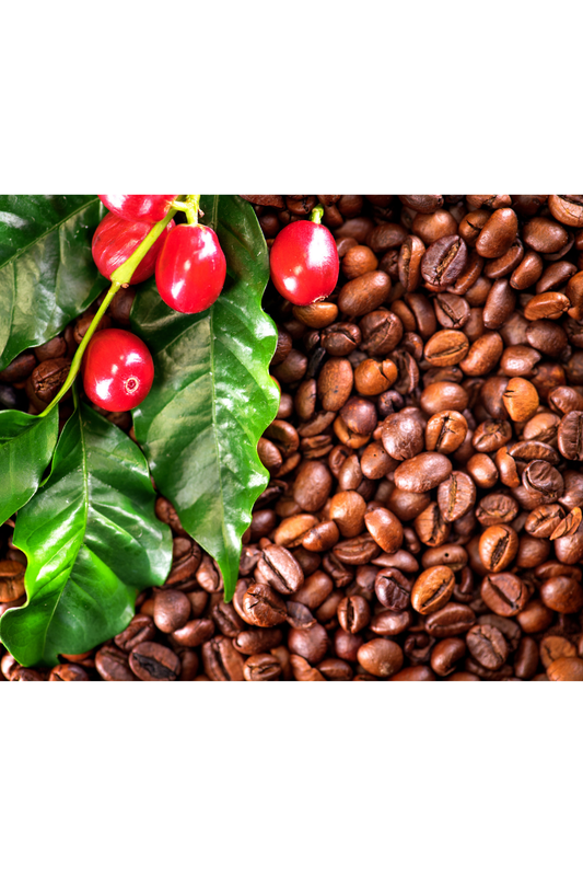 Tanzanina Peaberry 1 Lb