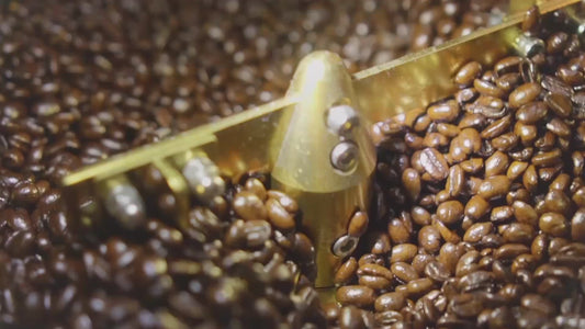Brown White Coffee Roasters Promotional Cafe Marketing VIdeo.mp4